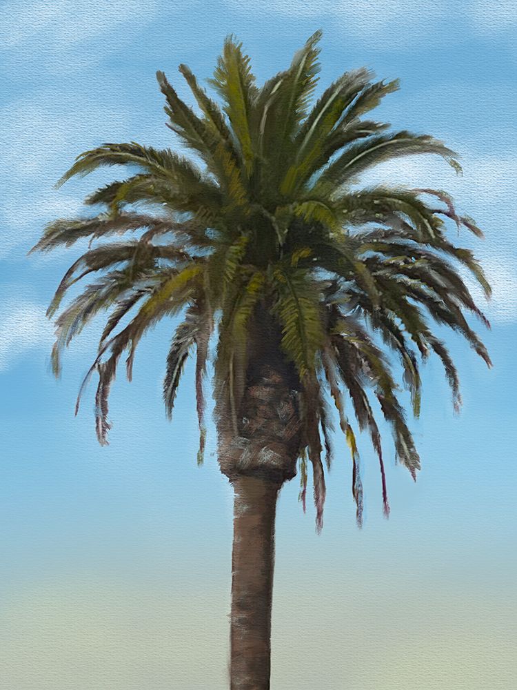 Palm Tree art print by Matthew Piotrowicz for $57.95 CAD