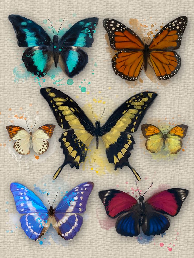 Butterflies art print by Matthew Piotrowicz for $57.95 CAD