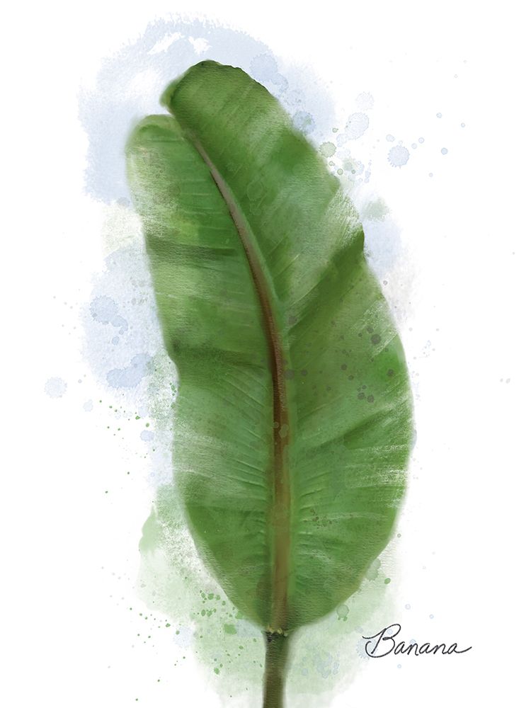 Banana Plant art print by Matthew Piotrowicz for $57.95 CAD
