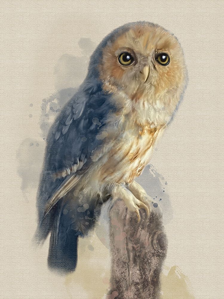 Bird Owl Blue Hues art print by Matthew Piotrowicz for $57.95 CAD