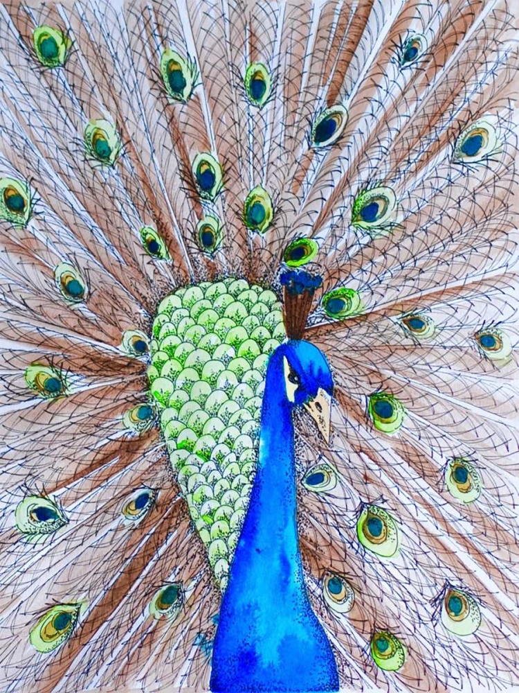 Peacock King art print by Pam Varacek for $57.95 CAD
