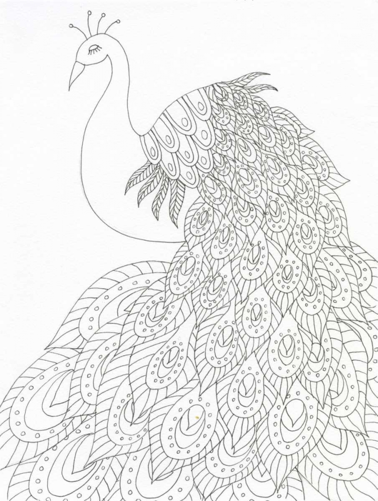 Peacock Queen art print by Pam Varacek for $57.95 CAD