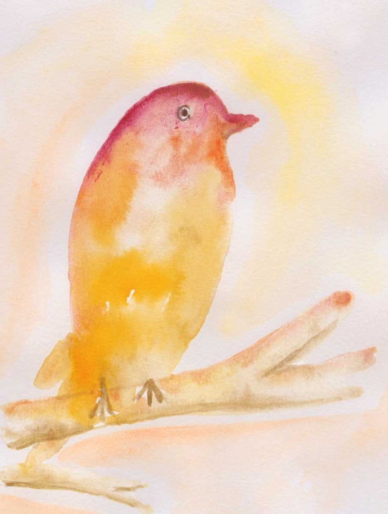 Western Tanager art print by Pam Varacek for $57.95 CAD
