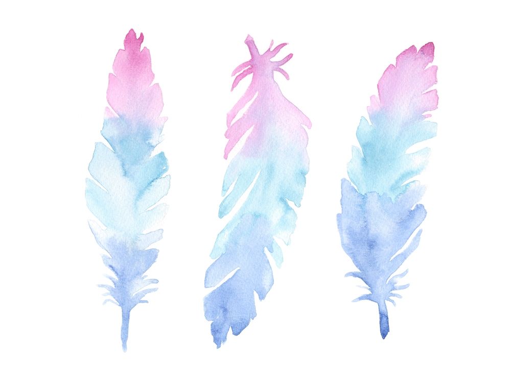 Vibrant Feathers art print by Pam Varacek for $57.95 CAD