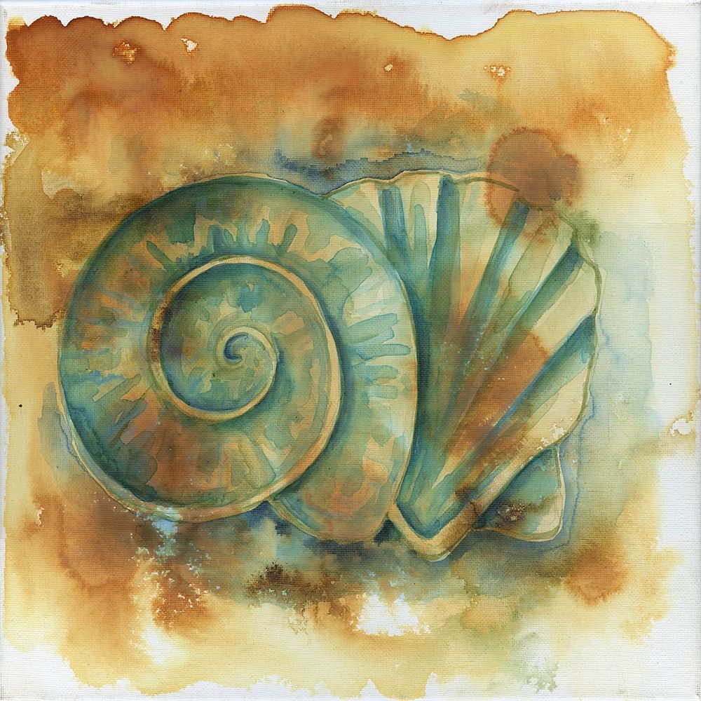 Muddy Shells art print by Pam Varacek for $57.95 CAD