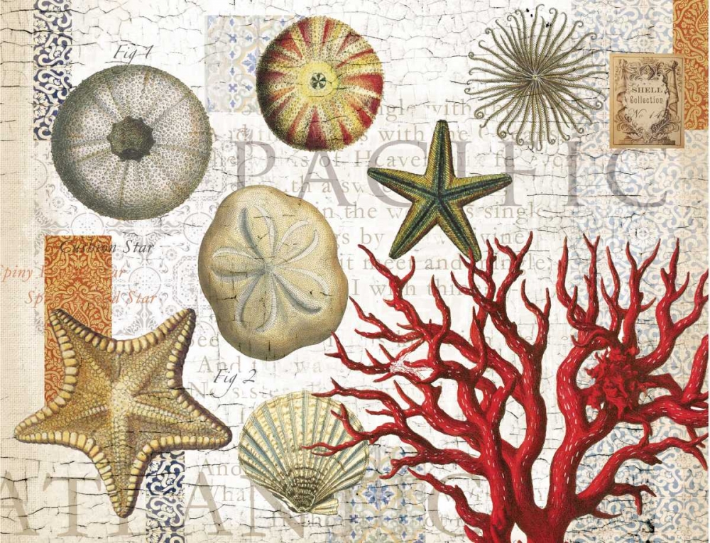 Sea Treasures art print by Candace Allen for $57.95 CAD