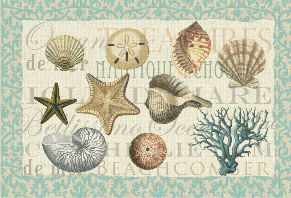 Sea Shell Collection art print by Candace Allen for $57.95 CAD