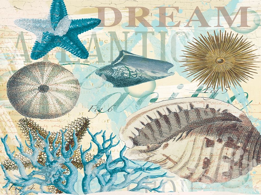 Dream Shells R1 art print by Candace Allen for $57.95 CAD