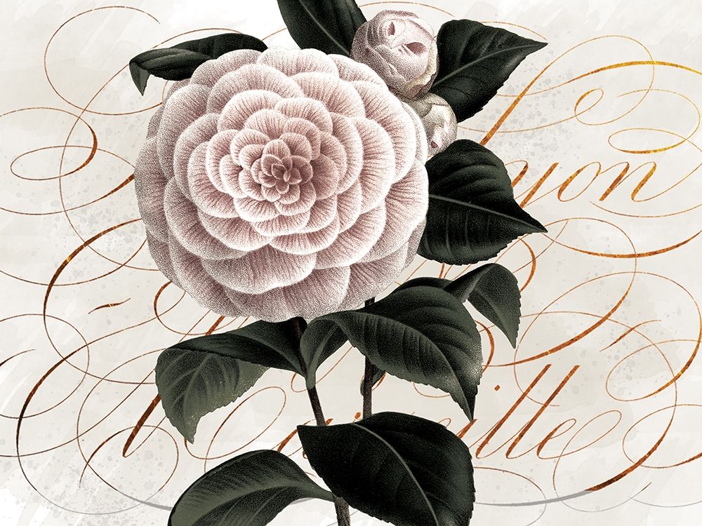 Flower and Scrolls art print by Lula Bijoux and Company for $57.95 CAD