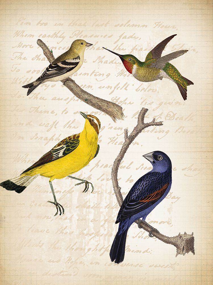 Birds 1 art print by Lula Bijoux and Company for $57.95 CAD