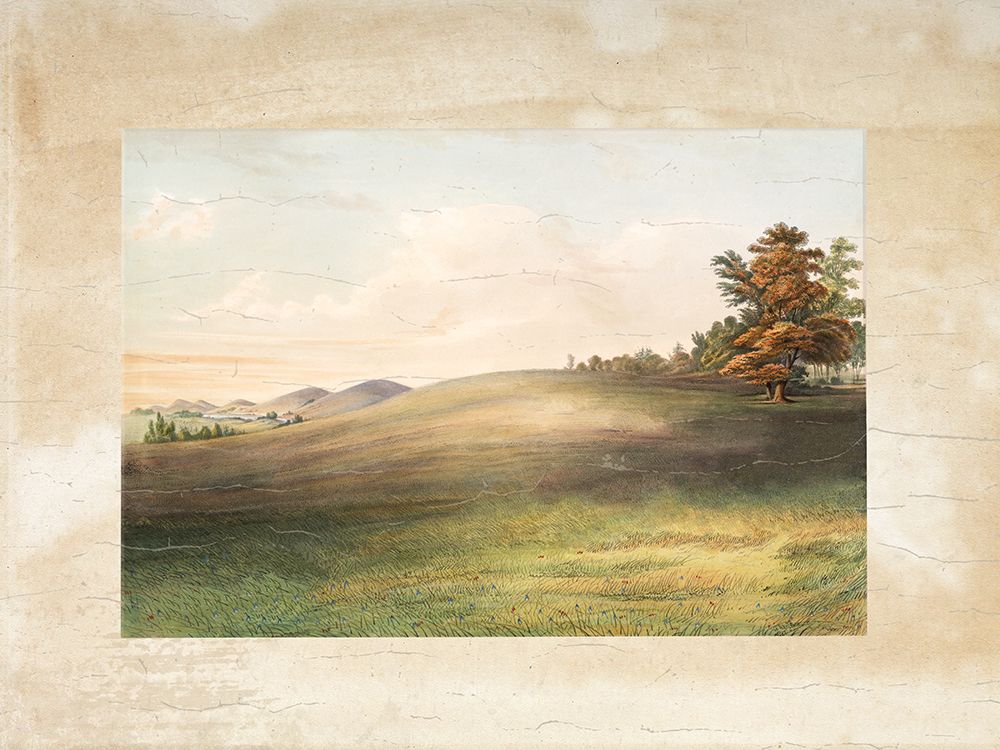 Veiled Landscape 1 art print by Lula Bijoux And Company for $57.95 CAD