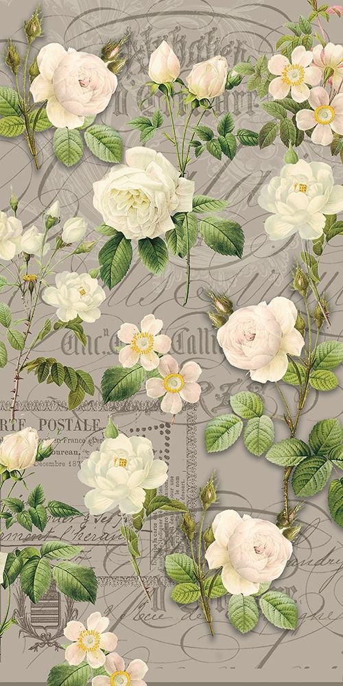 Vintage White Roses art print by Candace Allen for $57.95 CAD