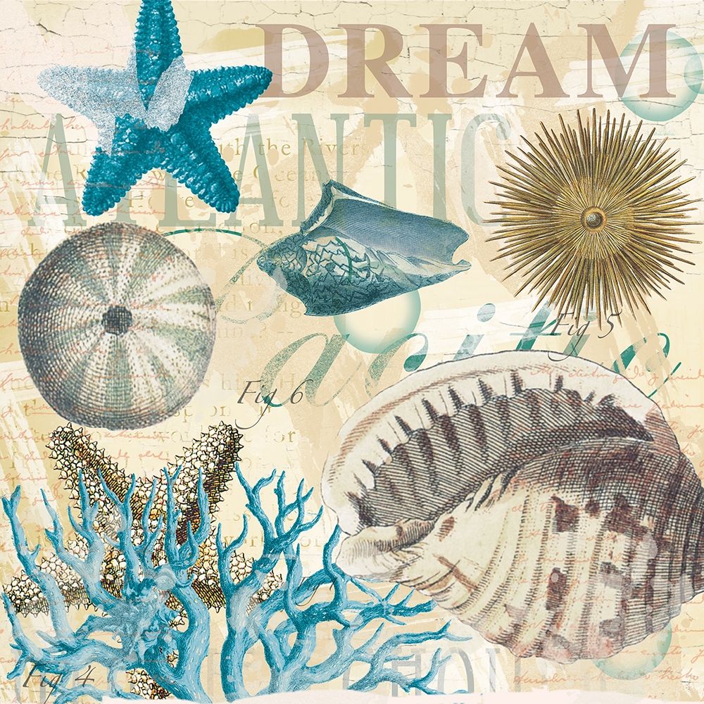 Dream Shells R1 art print by Candace Allen for $57.95 CAD