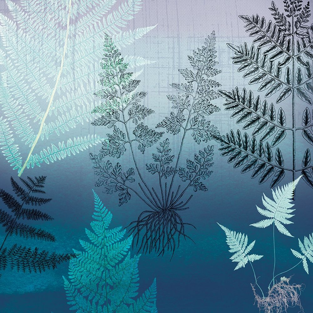 Ferns Navy art print by Lula Bijoux and Company for $57.95 CAD
