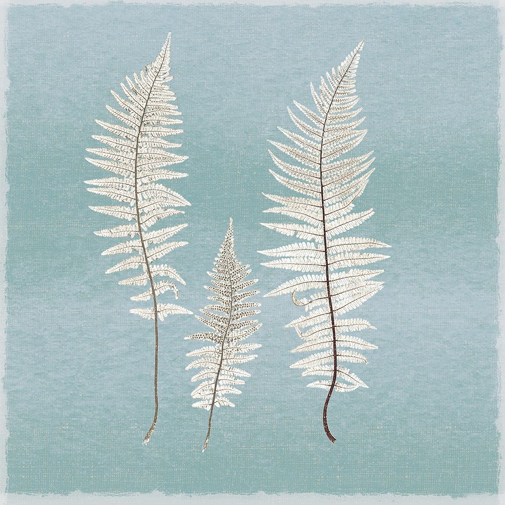 Spring Eden Fern art print by Lula Bijoux And Company for $57.95 CAD