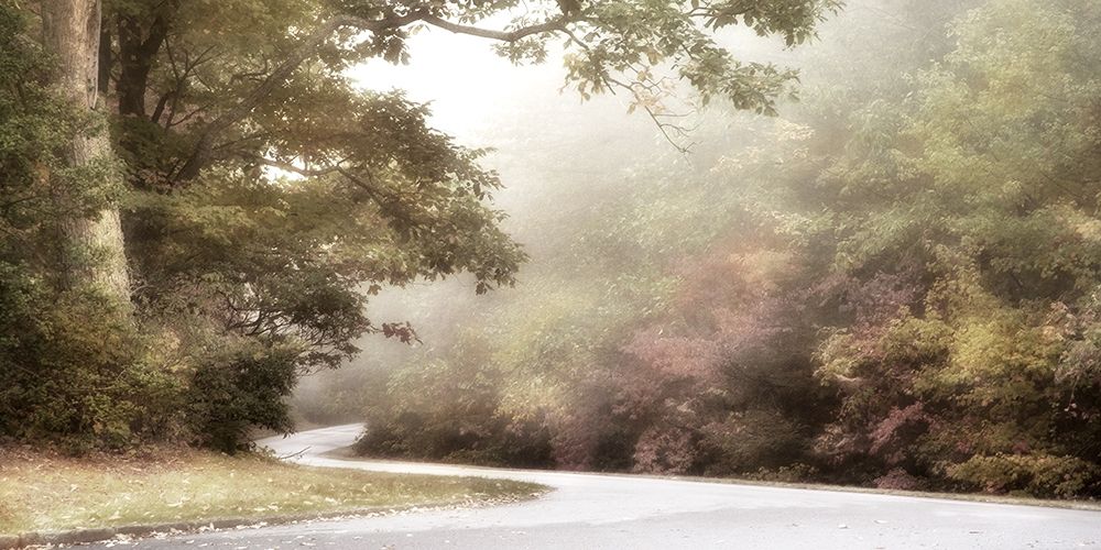 Blue Ridge Parkway art print by Dianne Poinski for $57.95 CAD