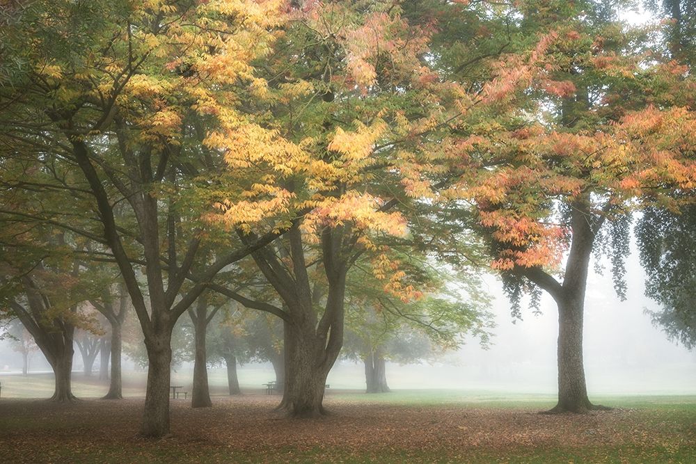 The Meadow 3 art print by Dianne Poinski for $57.95 CAD