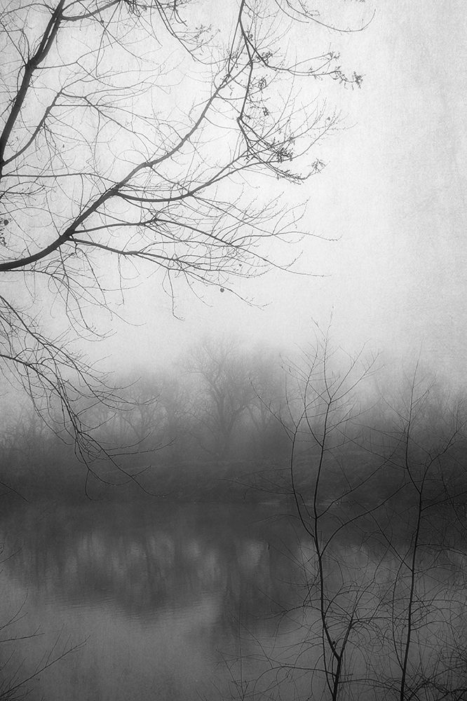 Misty Pond 2 BW art print by Dianne Poinski for $57.95 CAD