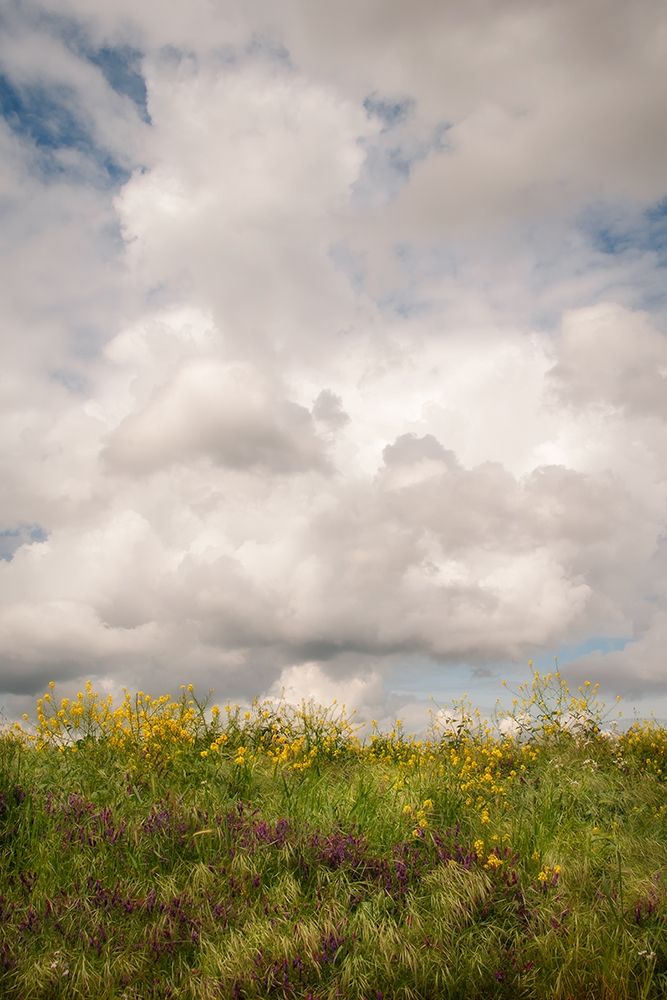 Blue Sky Vista 1 art print by Dianne Poinski for $57.95 CAD