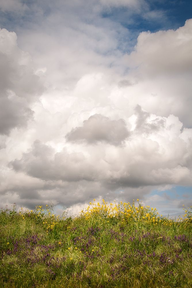 Blue Sky Vista 2 art print by Dianne Poinski for $57.95 CAD