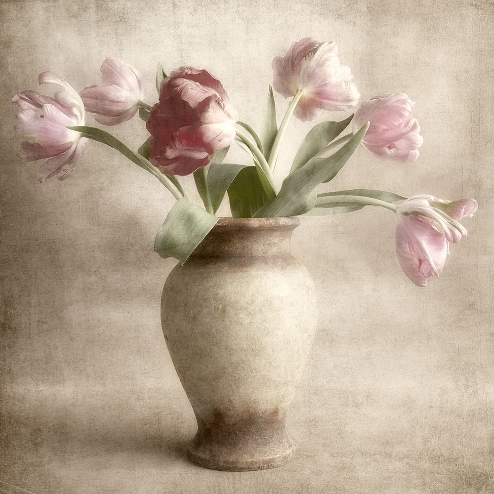 Parrot Tulips art print by Dianne Poinski for $57.95 CAD