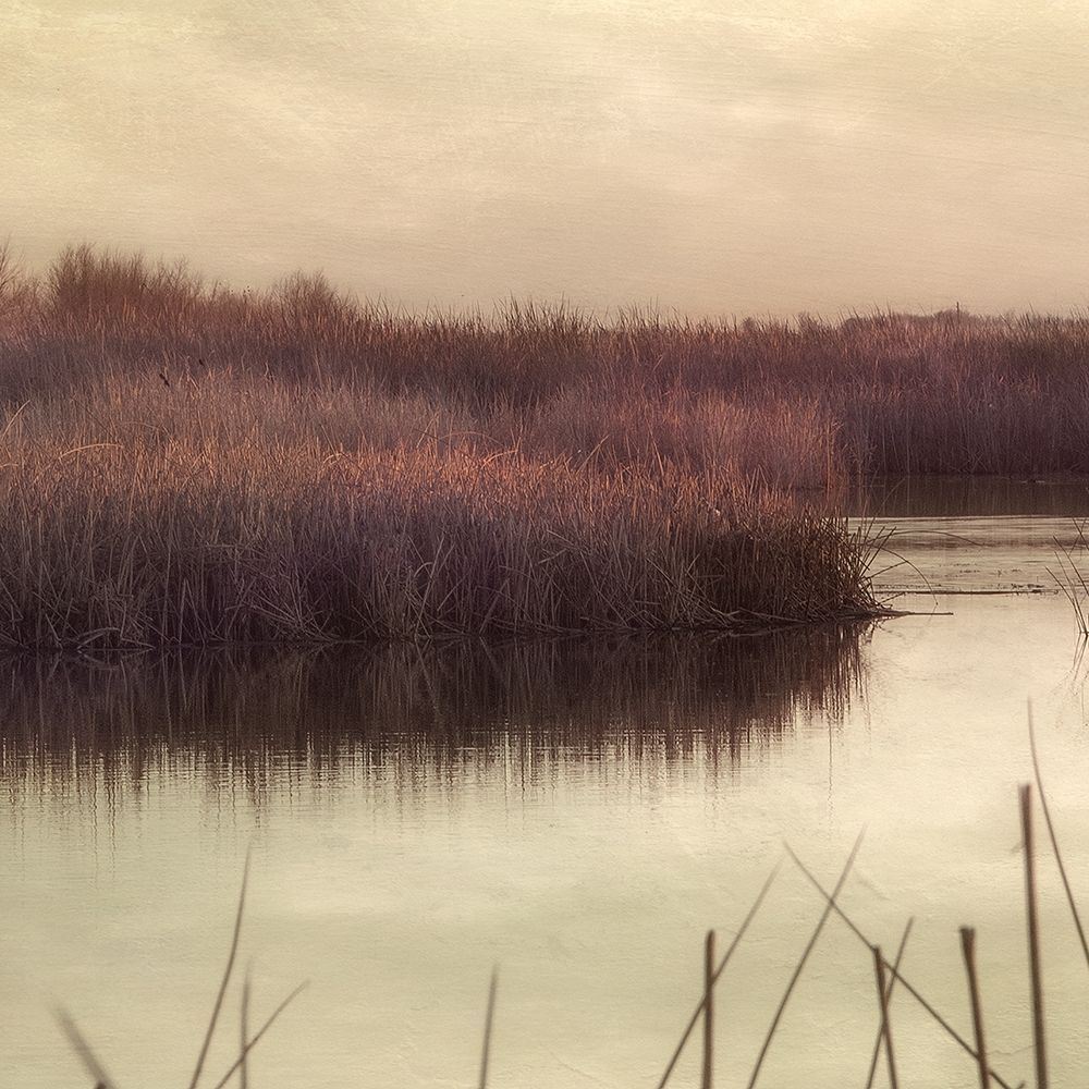 Wetlands Marsh 2 art print by Dianne Poinski for $57.95 CAD