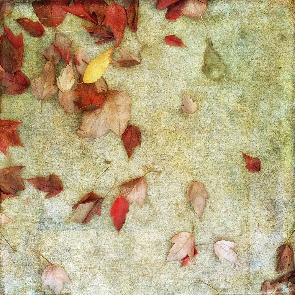 Fall Leaves 2 art print by Dianne Poinski for $57.95 CAD