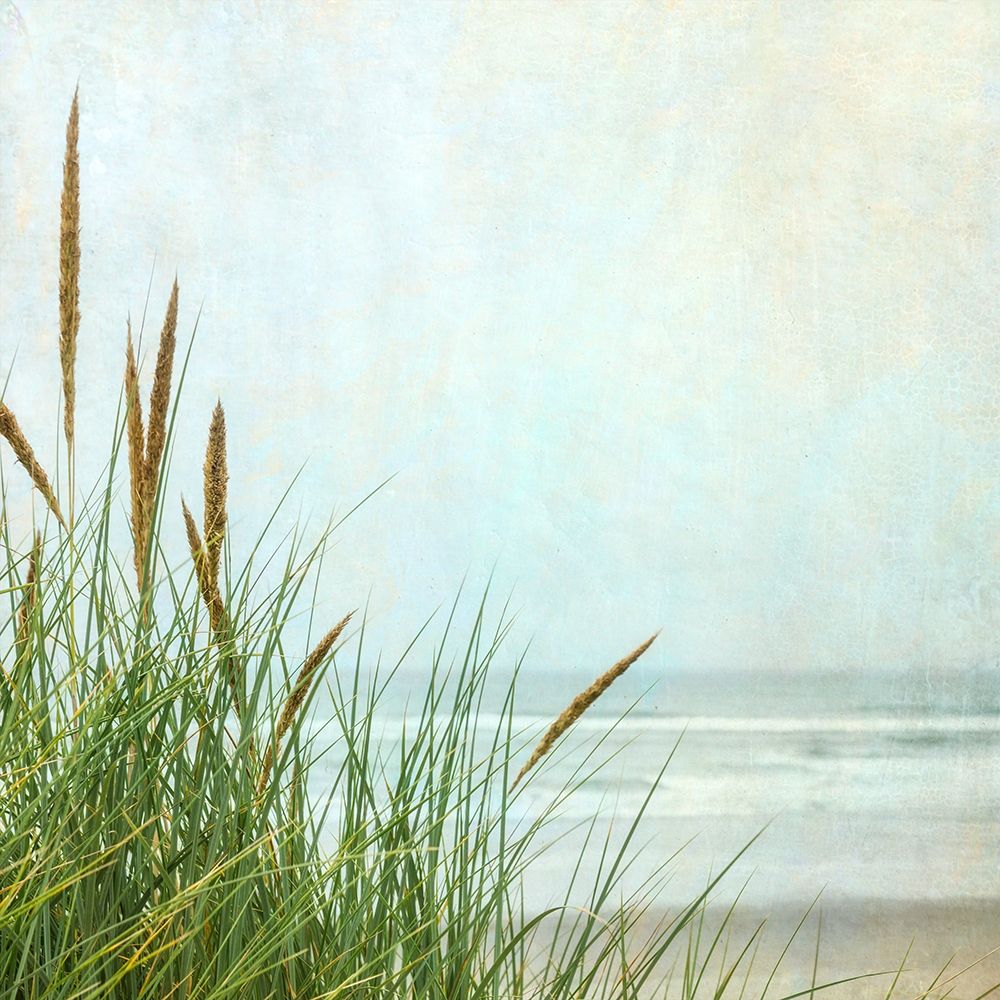 North Coast Dunes 1 art print by Dianne Poinski for $57.95 CAD