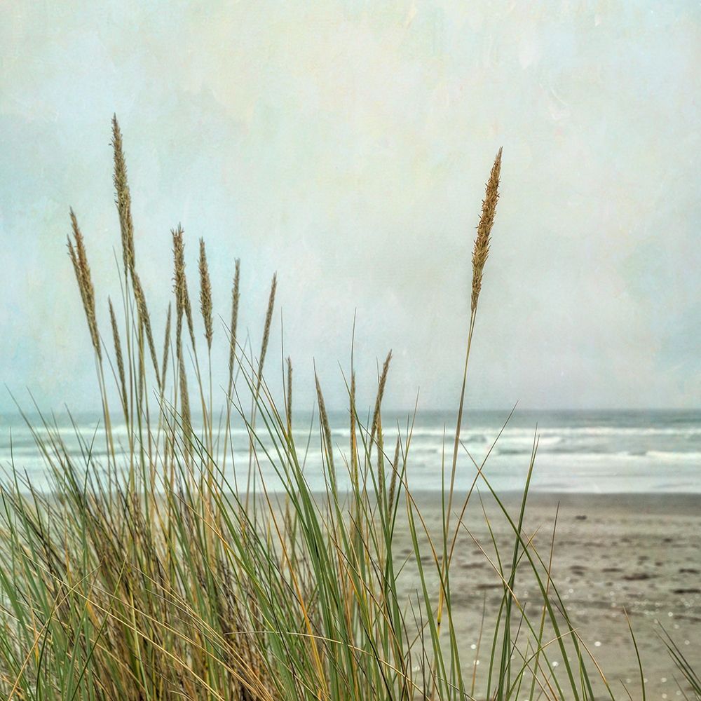 North Coast Dunes 2 art print by Dianne Poinski for $57.95 CAD