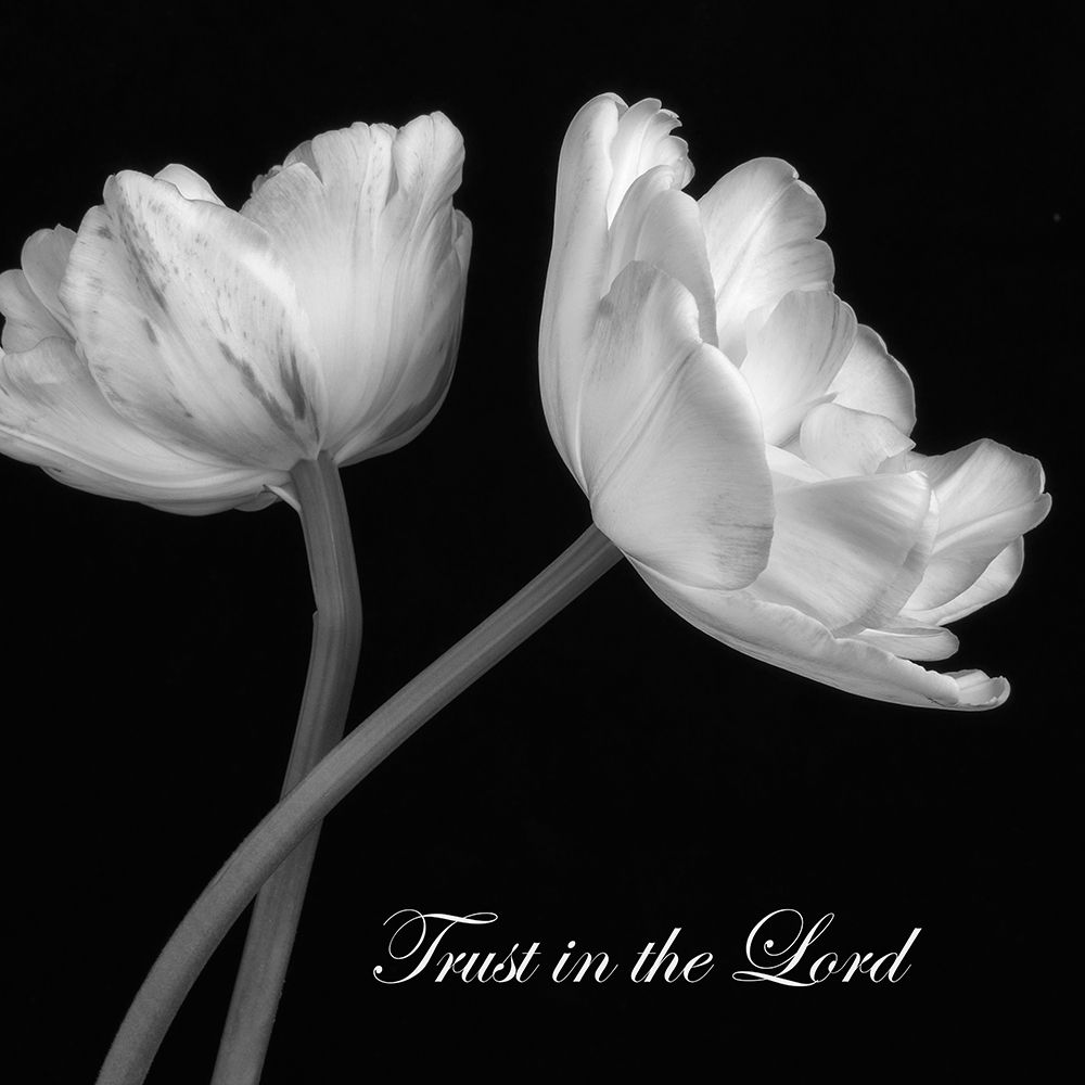 Trust in The Lord art print by Dianne Poinski for $57.95 CAD