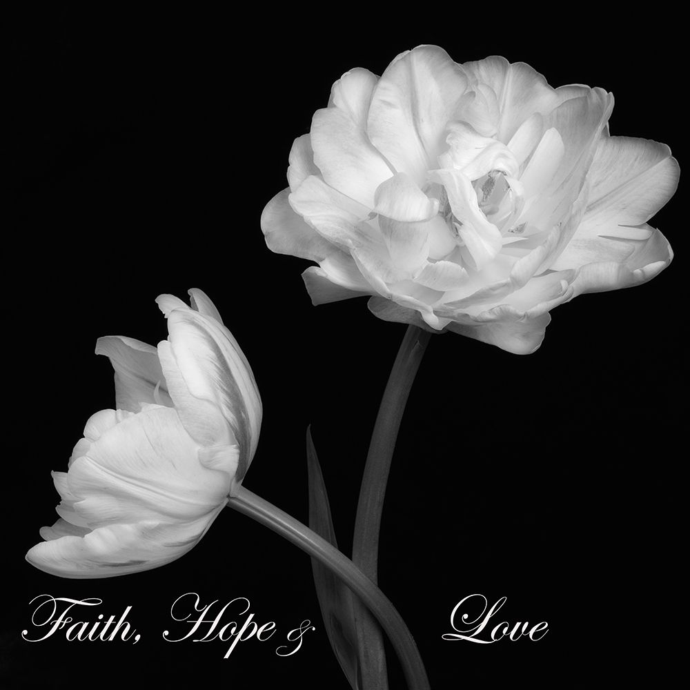 Faith Hope Love art print by Dianne Poinski for $57.95 CAD