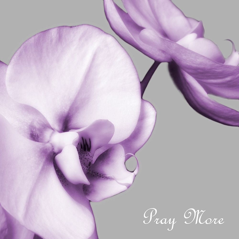 Praying Orchids art print by Dianne Poinski for $57.95 CAD