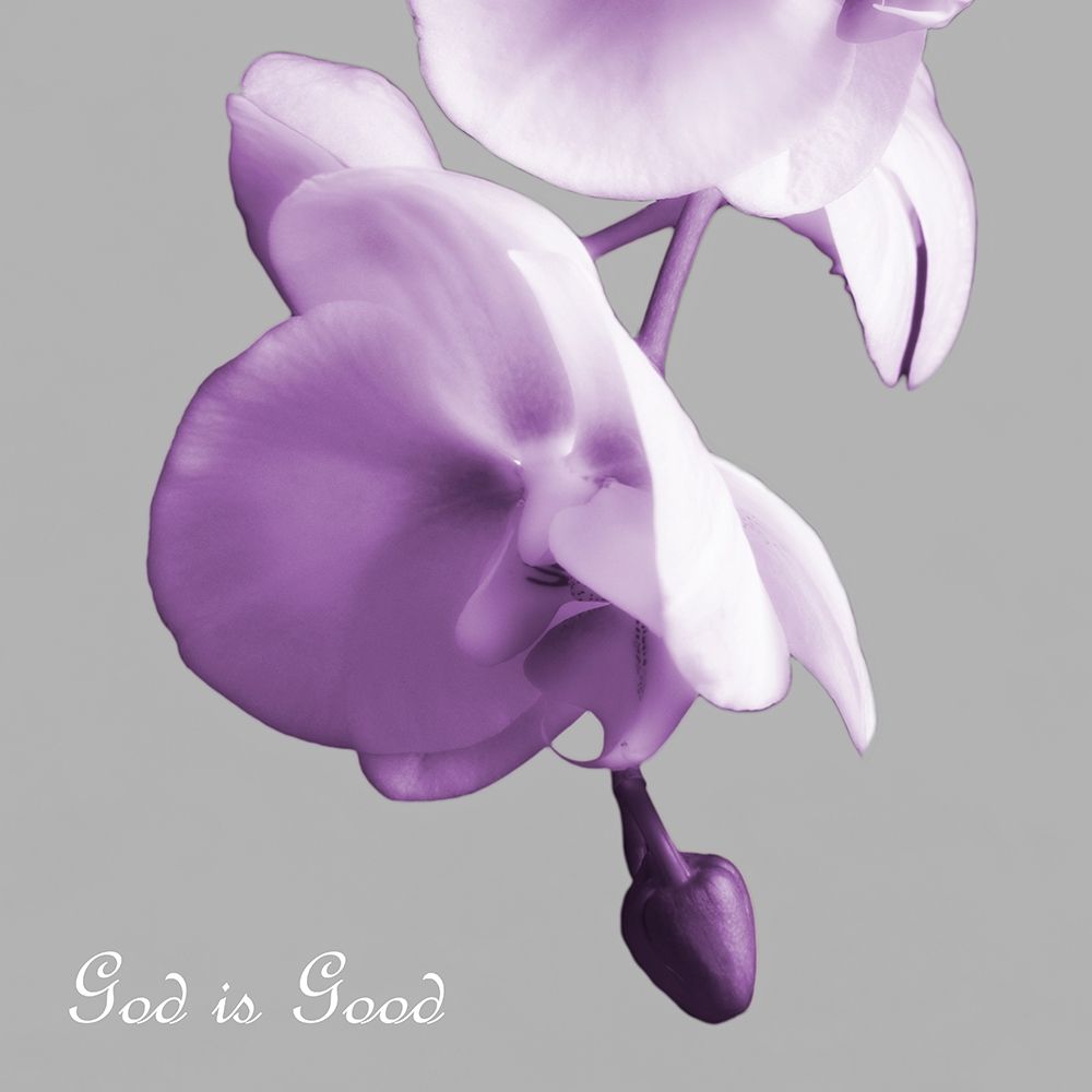 Godly Good Orchids art print by Dianne Poinski for $57.95 CAD