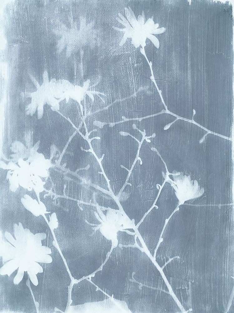 Spring Eden Magnolia 2 art print by Smith Haynes for $57.95 CAD