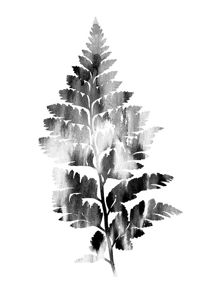 Faded Fern 2 art print by Sheldon Lewis for $57.95 CAD