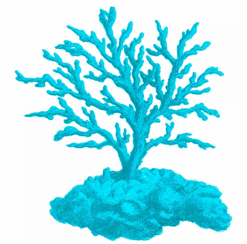 Blue Coral 4 art print by Sheldon Lewis for $57.95 CAD