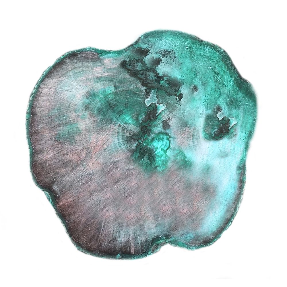 Emerald Tree Rings 2 art print by Sheldon Lewis for $57.95 CAD