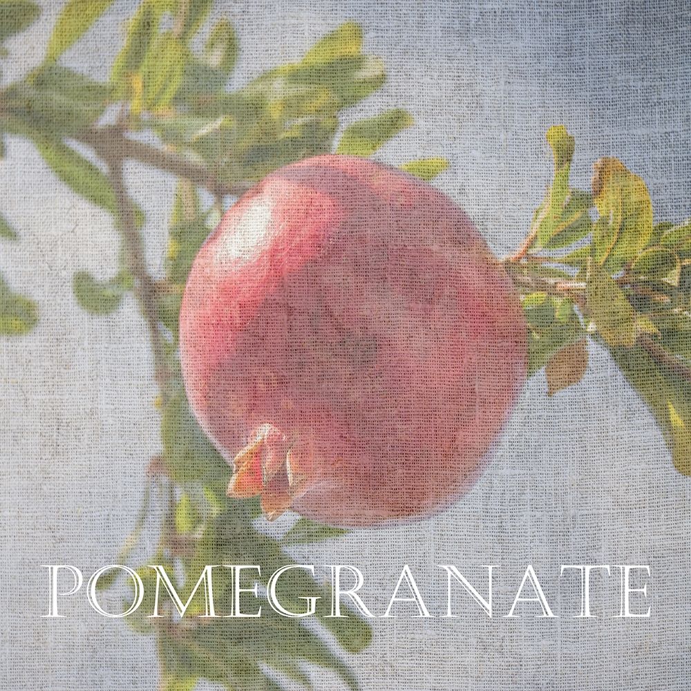 Pomegranate art print by Sheldon Lewis for $57.95 CAD
