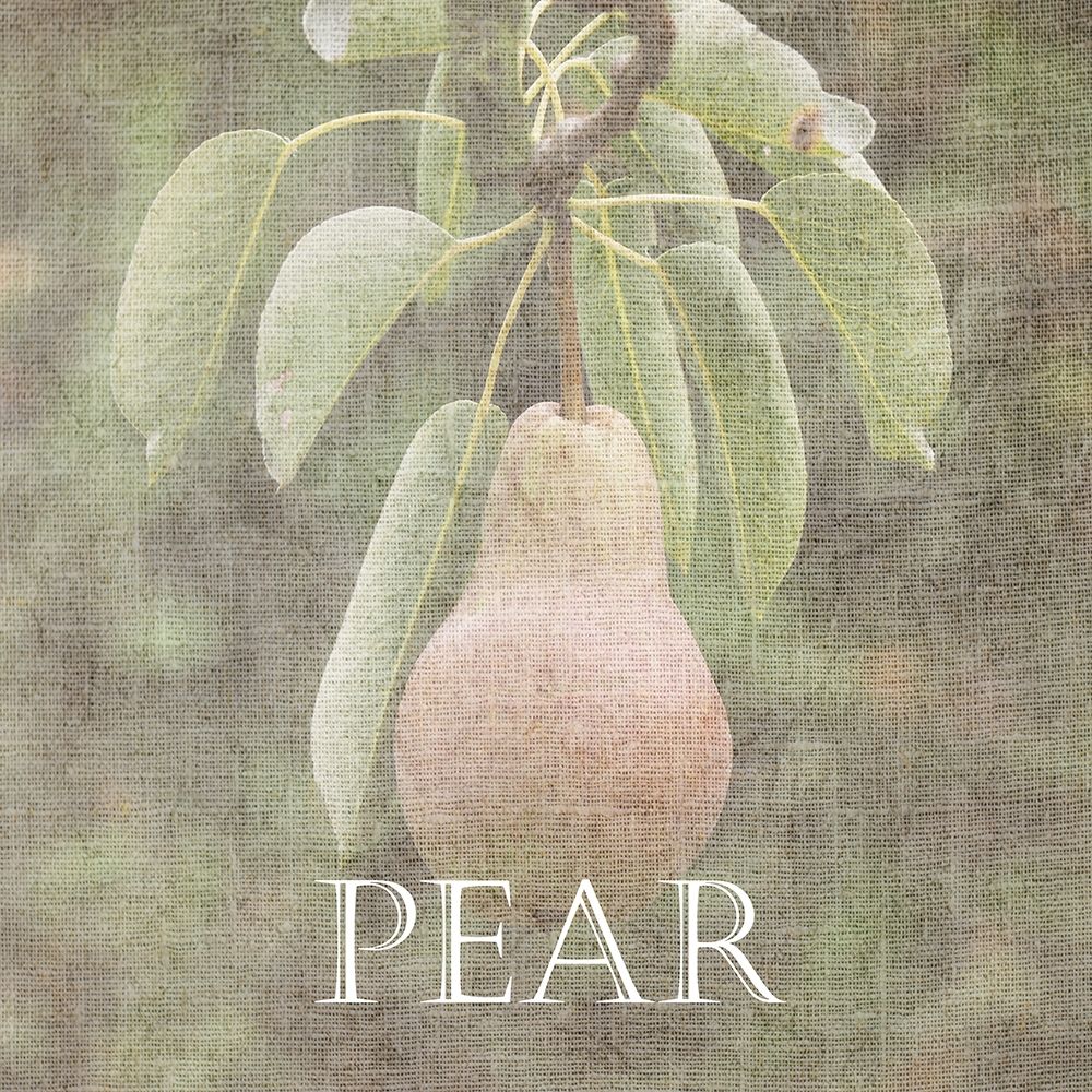 Pear art print by Sheldon Lewis for $57.95 CAD