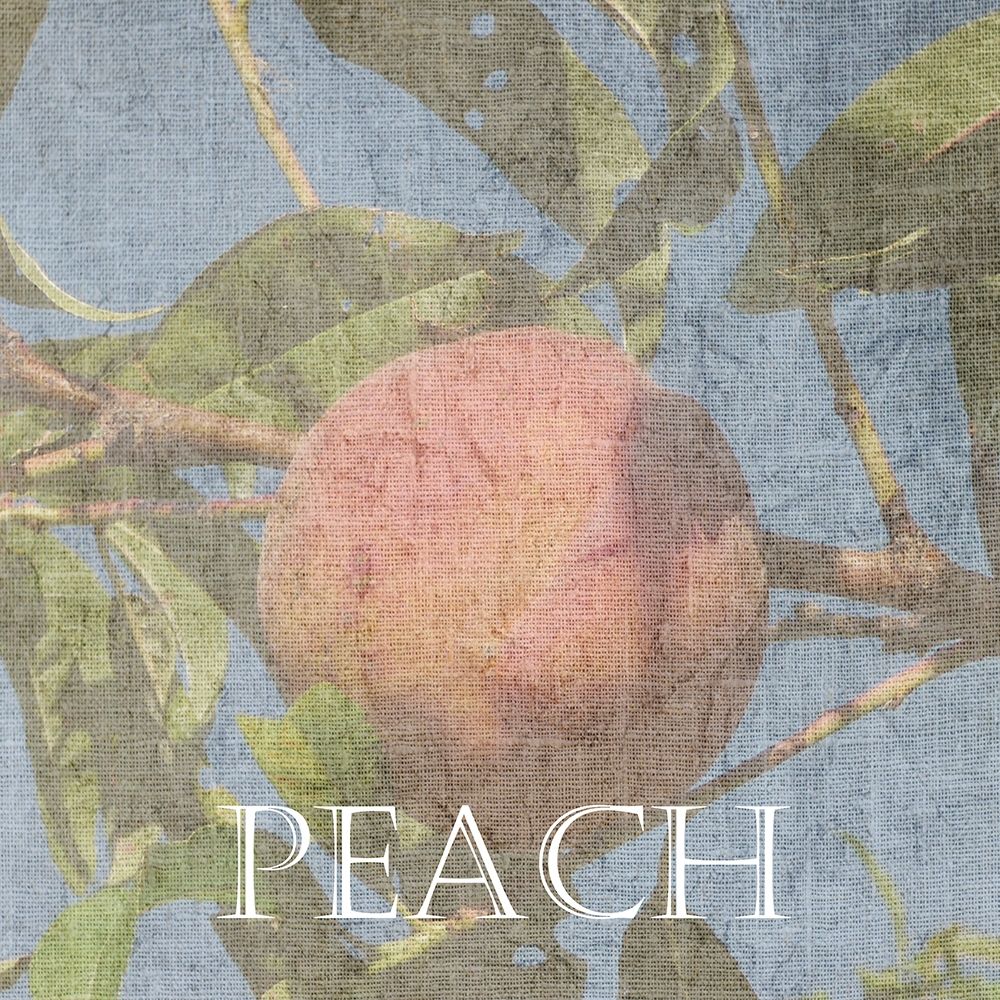 Peach art print by Sheldon Lewis for $57.95 CAD