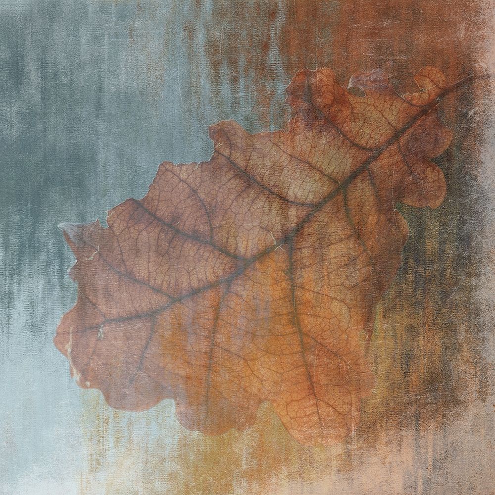 Pure Leaf 1 art print by Sheldon Lewis for $57.95 CAD