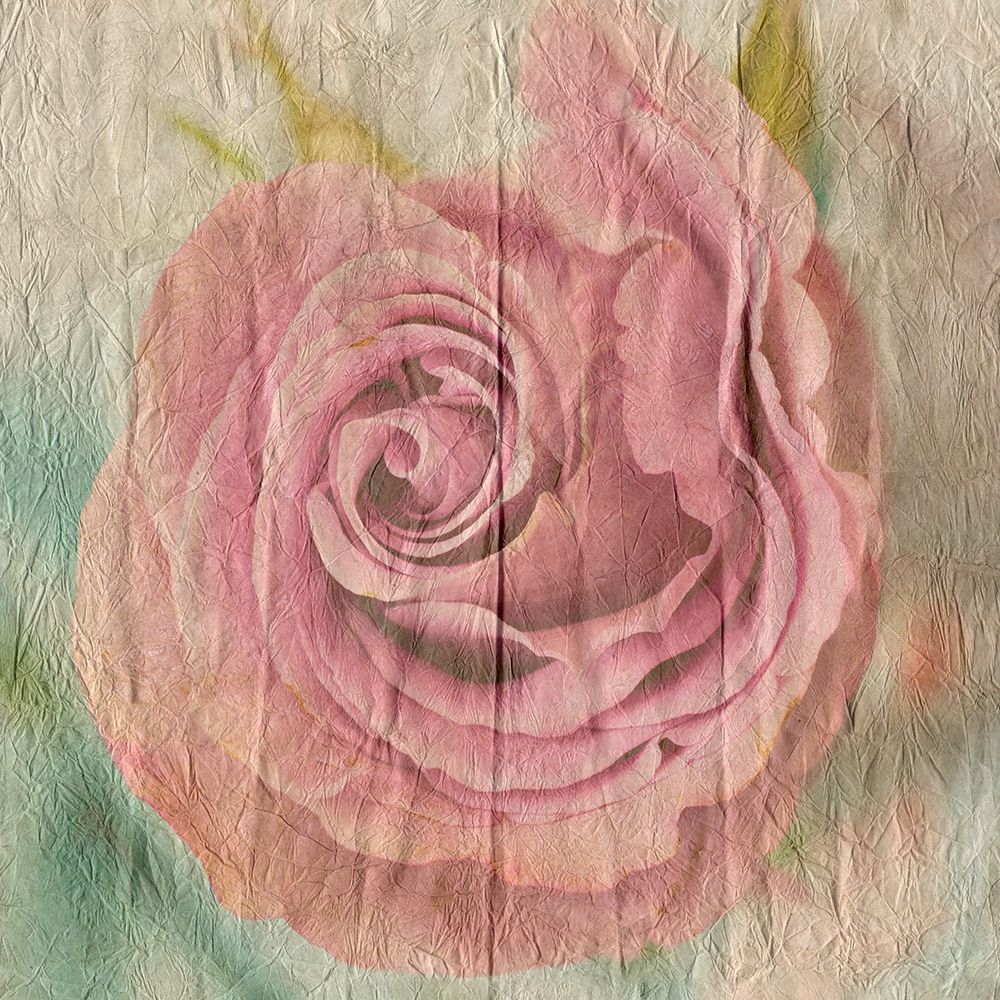 Vintage Rose art print by Sheldon Lewis for $57.95 CAD