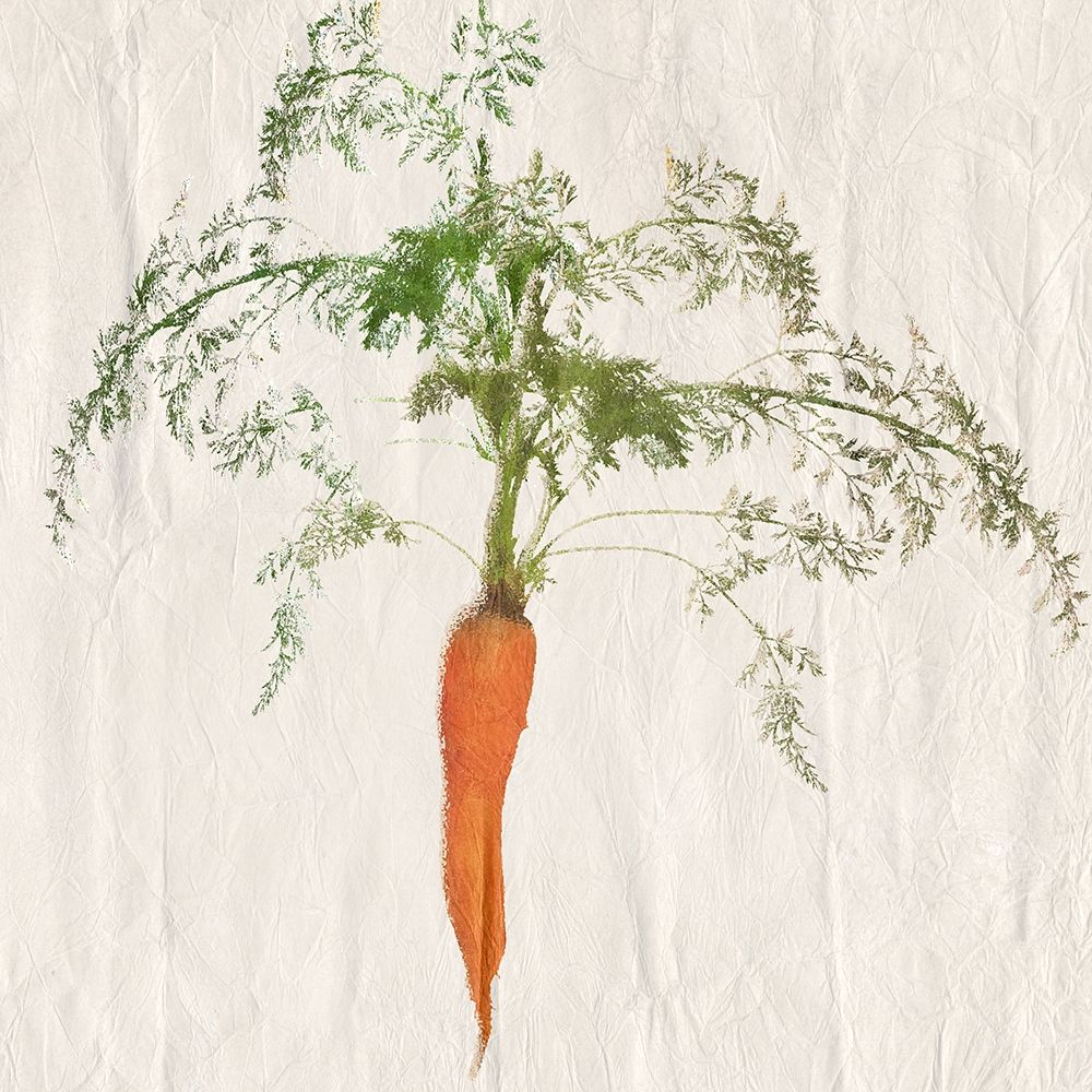Carrot art print by Sheldon Lewis for $57.95 CAD