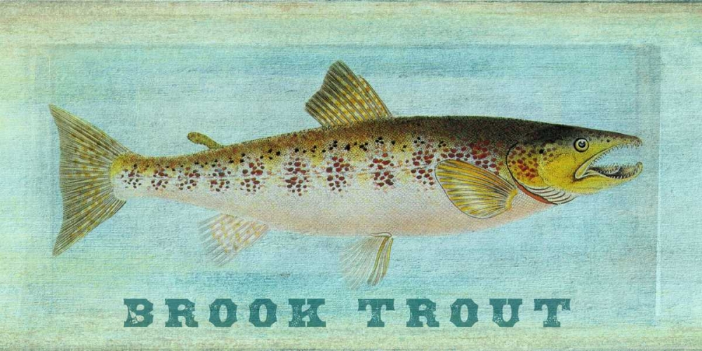 Brook Trout art print by Tina Carlson for $57.95 CAD