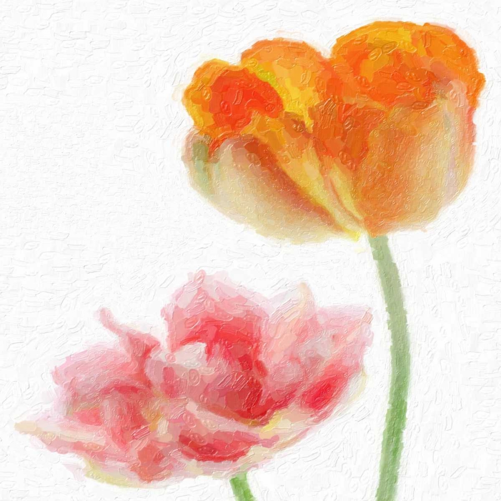 FLORAL PAIR art print by Taylor Greene for $57.95 CAD