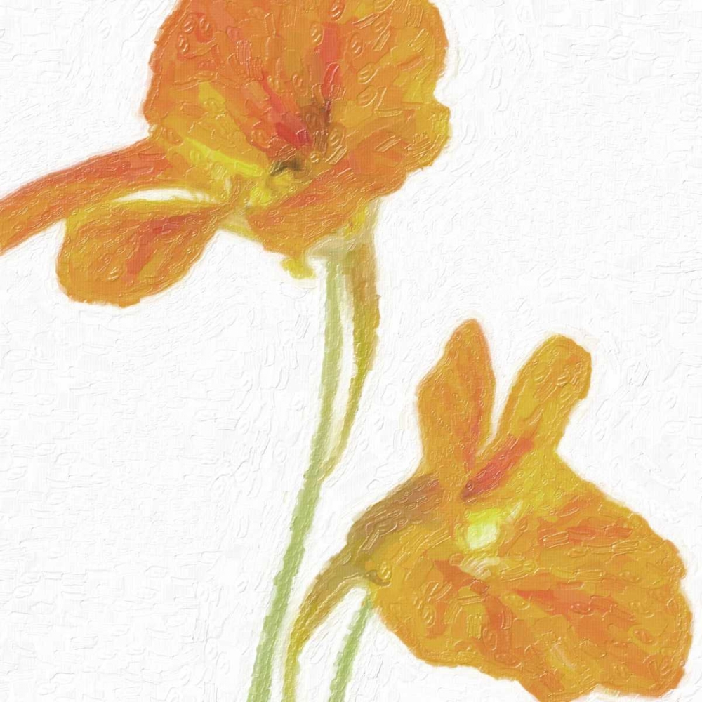 TANGERINE FLORAL  PAIR art print by Taylor Greene for $57.95 CAD