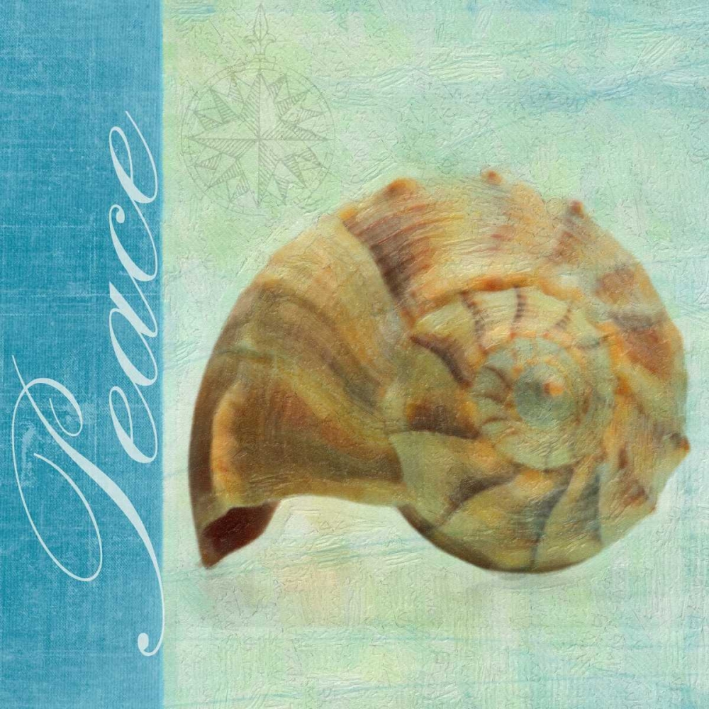 PEACE SHELL art print by Taylor Greene for $57.95 CAD