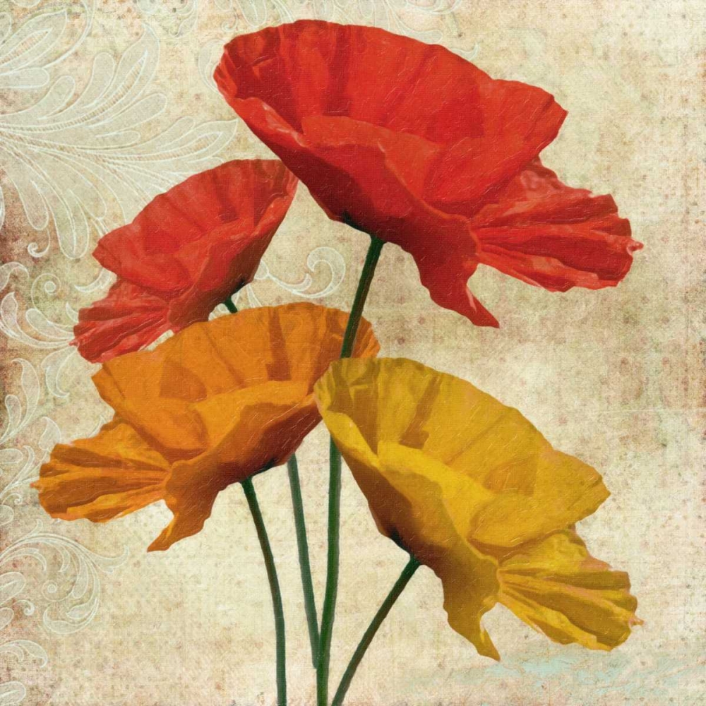 POPPY I art print by Taylor Greene for $57.95 CAD
