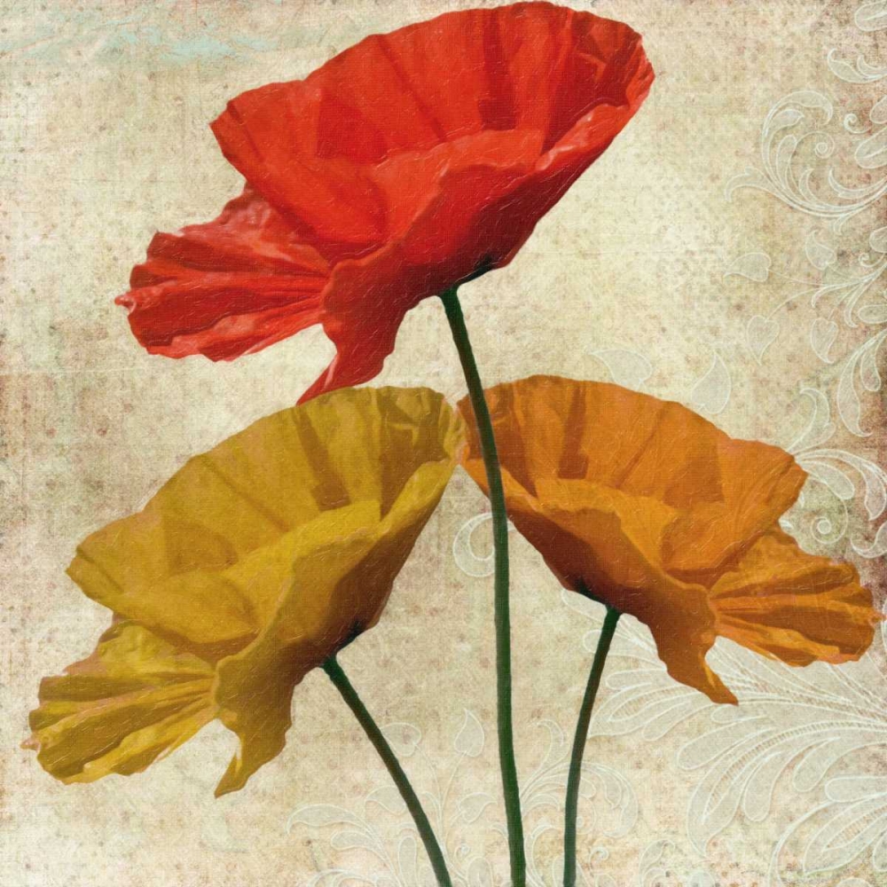 POPPY II art print by Taylor Greene for $57.95 CAD