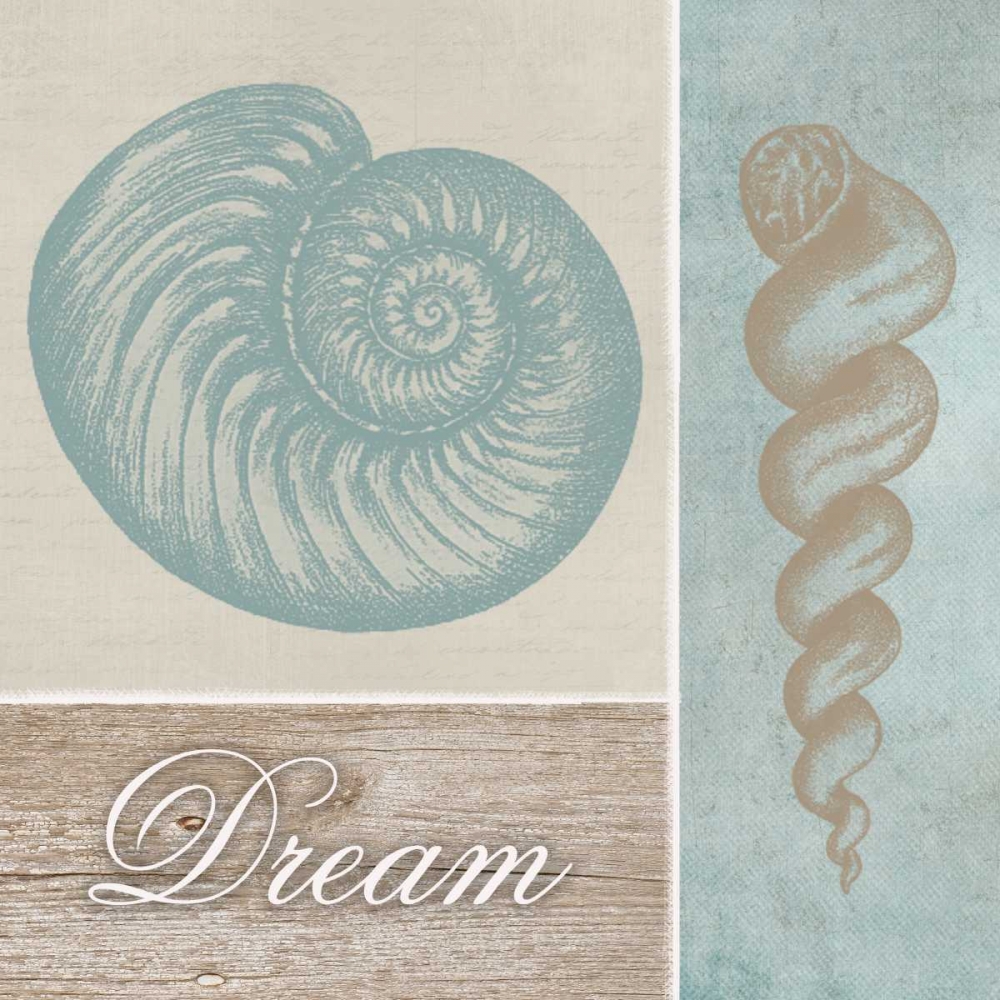 Dream Shells art print by Taylor Greene for $57.95 CAD